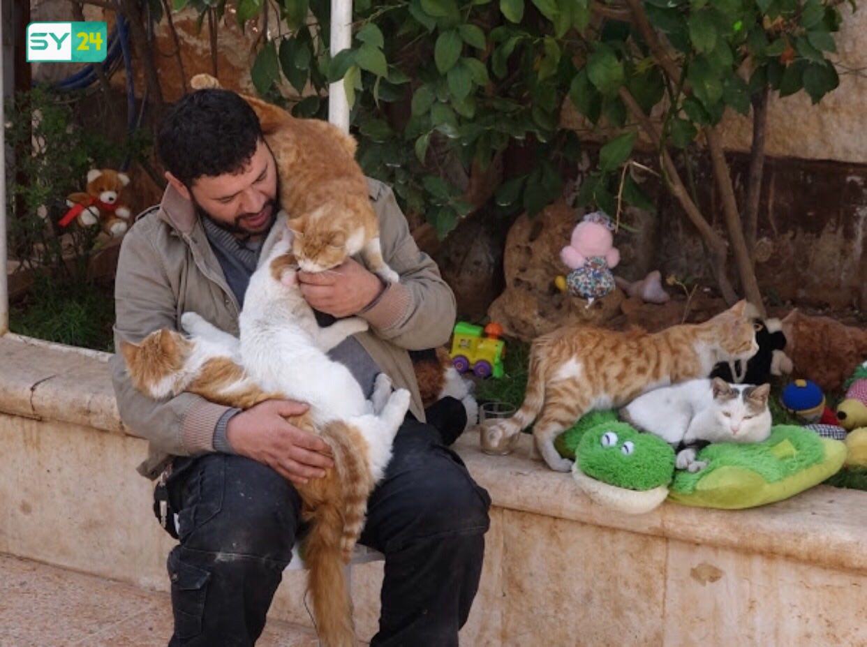 شاب سوري ينشئ محمية للقطط في حلب