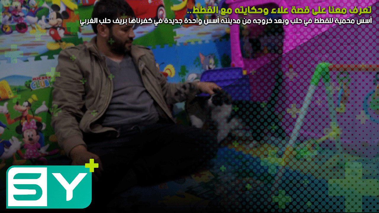 أسس محمية للقطط في حلب وبعد خروجه من مدينته أسس واحدة جديدة في كفرناها بريف حلب الغربي .. تعرف معنا على قصة علاء وحكايته مع القطط