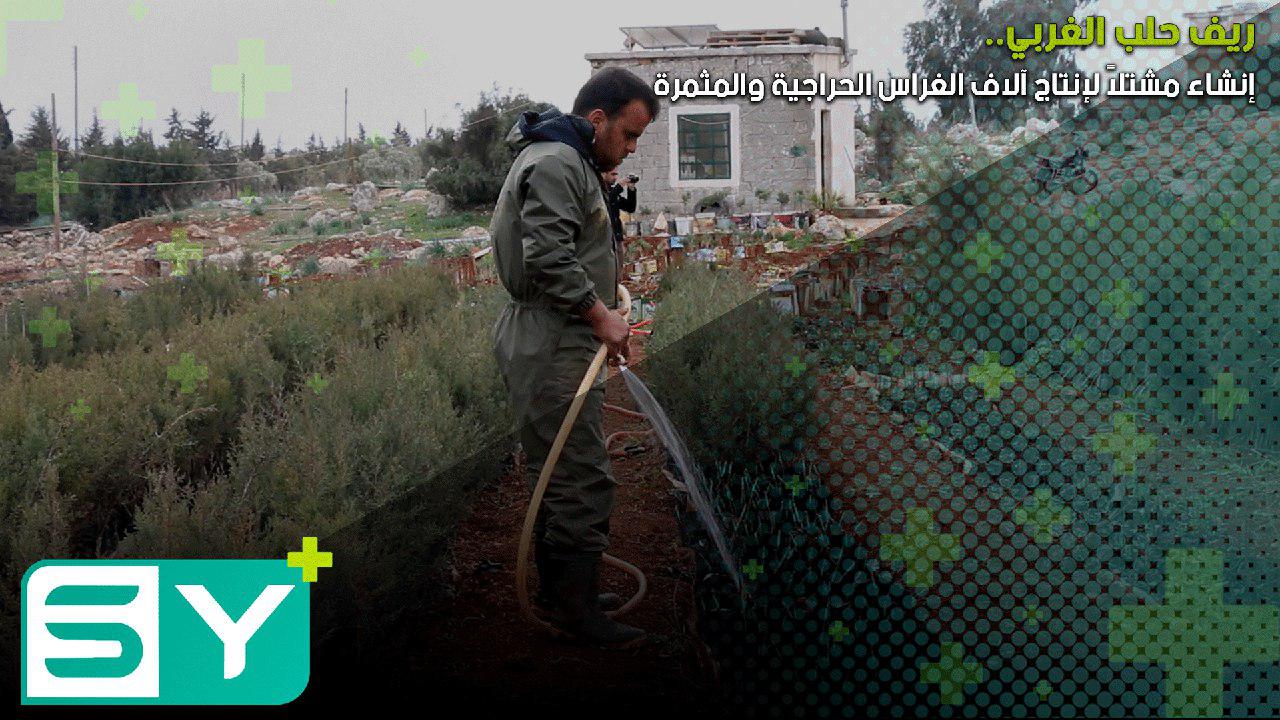 إنشاء مشتلاً لإنتاج آلاف الغراس الحراجية والمثمرة في ريف حلب الغربي