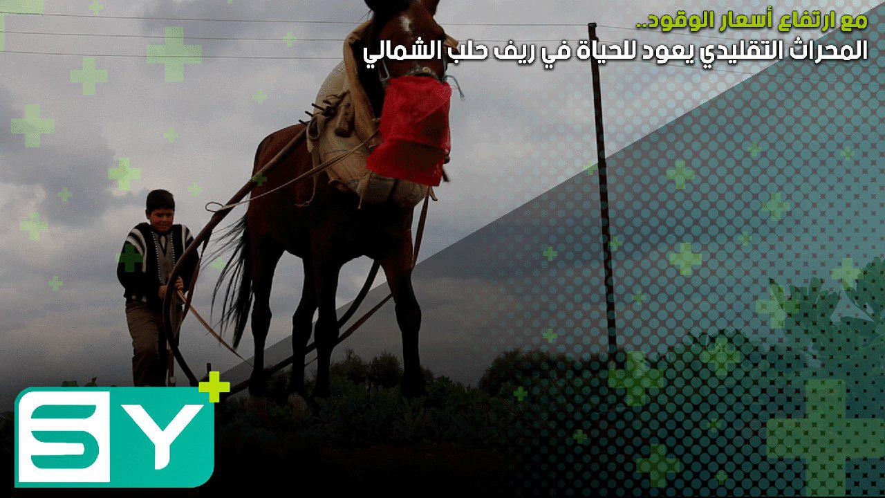 مع ارتفاع أسعار الوقود.. المحراث التقليدي يعود للحياة في ريف حلب الشمالي