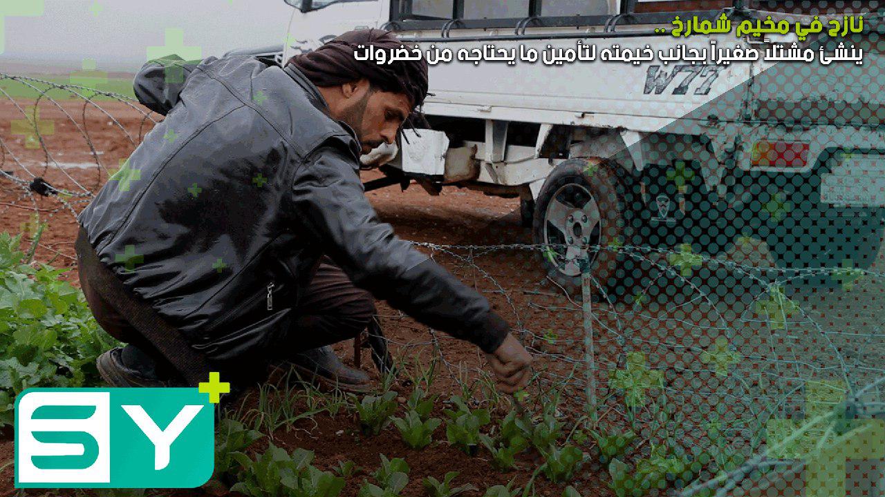 نازح في مخيم شمارخ ينشئ مشتلاً صغيراً بجانب خيمته لتأمين ما يحتاجه من خضروات