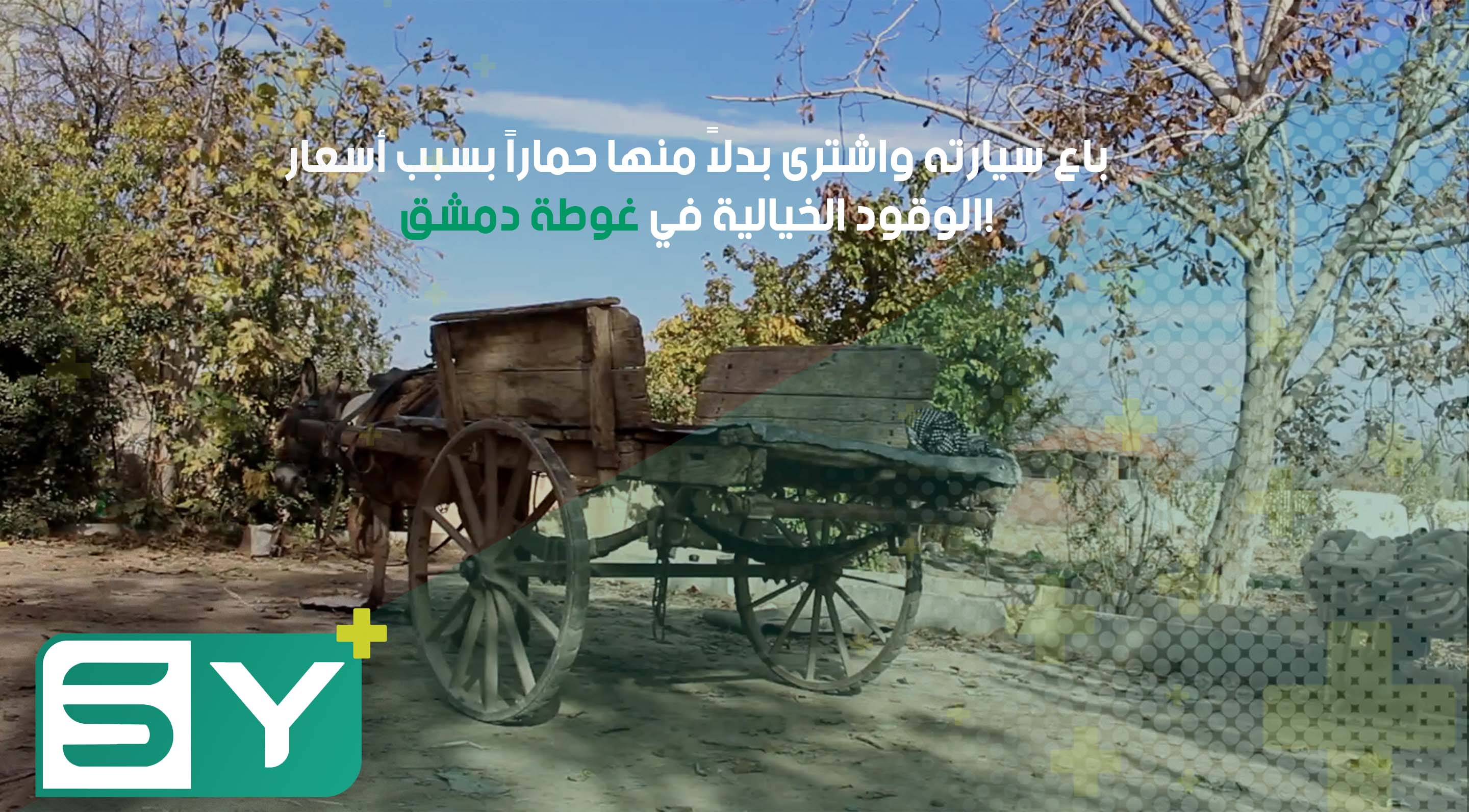 باع سيارته واشترى بدلاً منها حماراً بسبب أسعار الوقود الخيالية في غوطة دمشق!