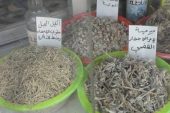 لماذا عادت ظاهرة العلاج بالأعشاب إلى الجزيرة السورية؟