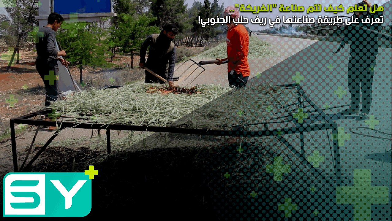 هل تعلم كيف تتم صناعة “الفريكة”.. تعرف على طريقة صناعتها في ريف حلب الجنوبي!