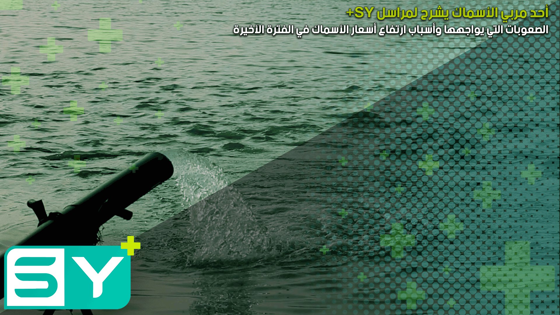 أحد مربي الأسماك يشرح لمراسل+SY الصعوبات التي يواجهها وأسباب ارتفاع أسعار الأسماك في الفترة الأخيرة