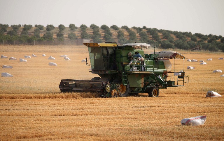 تراجع مخزون القمح في درعا بسبب ضعف الإنتاج وتوقف الجهات المانحة