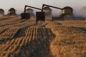 الخضروات مقابل القمح.. صفقات تجارية بين النظام وروسيا