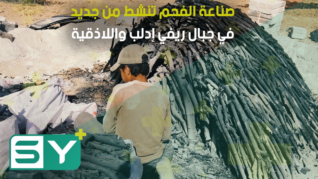 صناعة الفحم تنشط من جديد في جبال ريفي إدلب واللاذقية