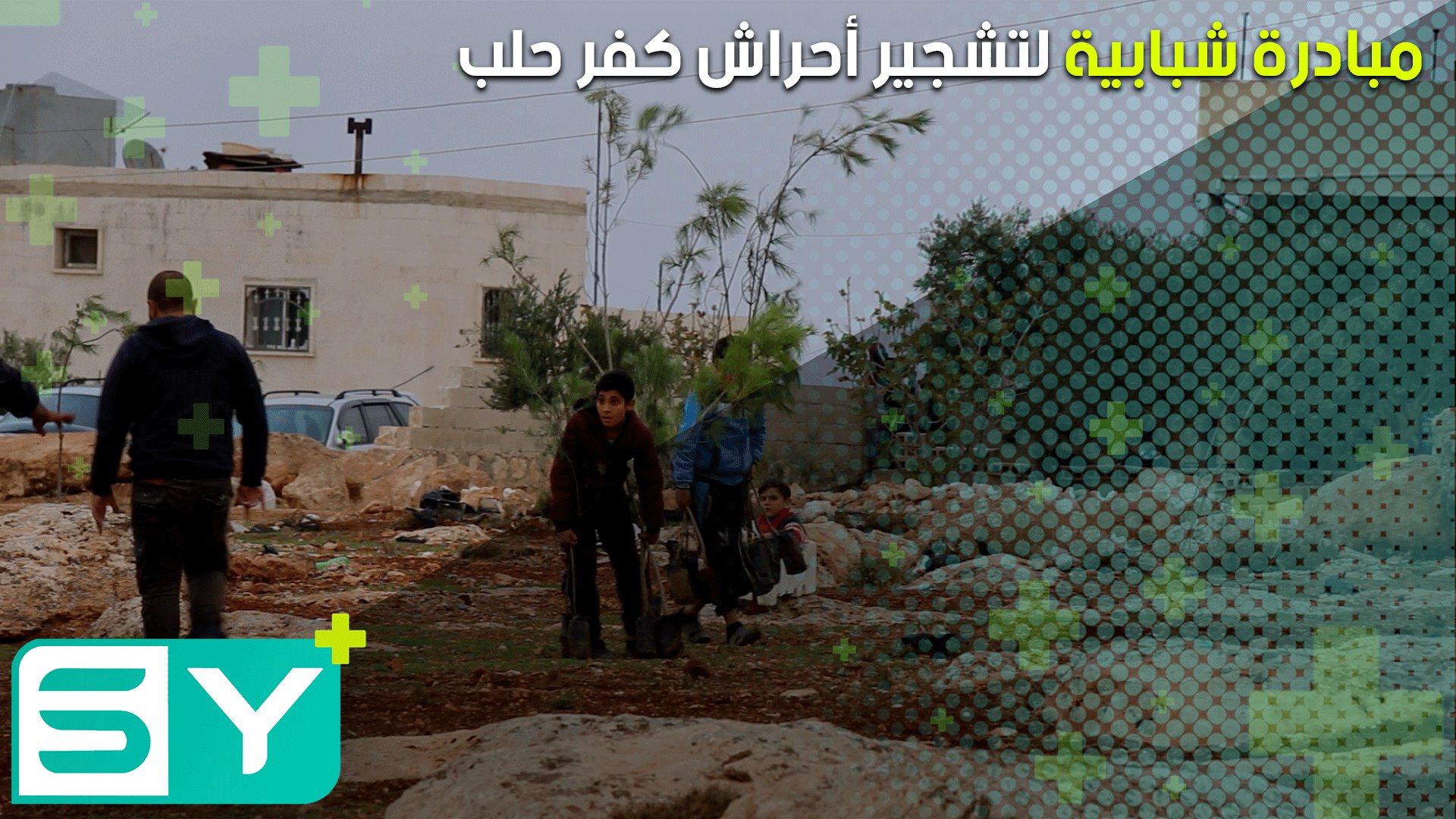 مبادرة شبابية لتشجير أحراش كفر حلب