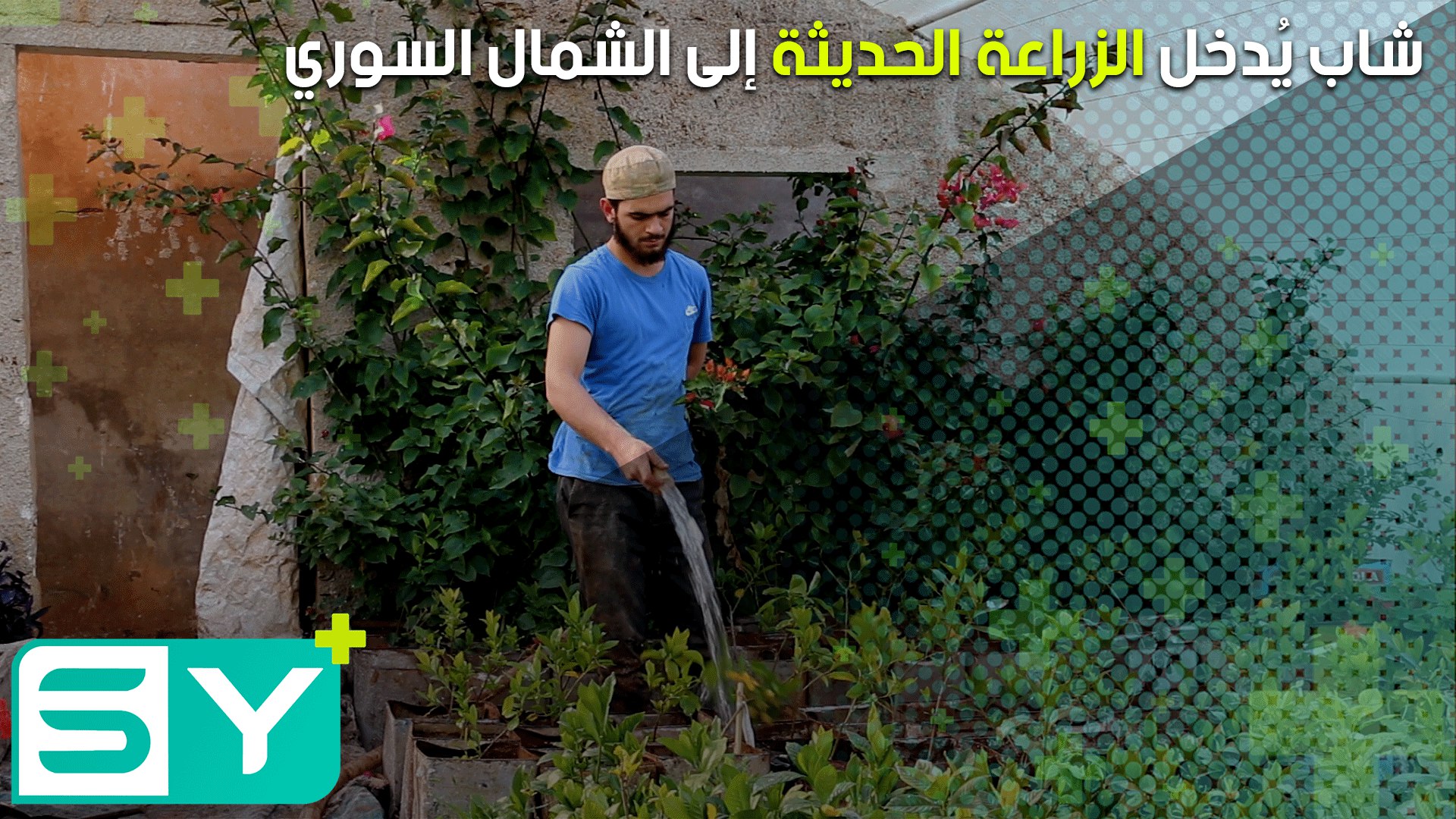 شاب يُدخل الزراعة الحديثة إلى الشمال السوري