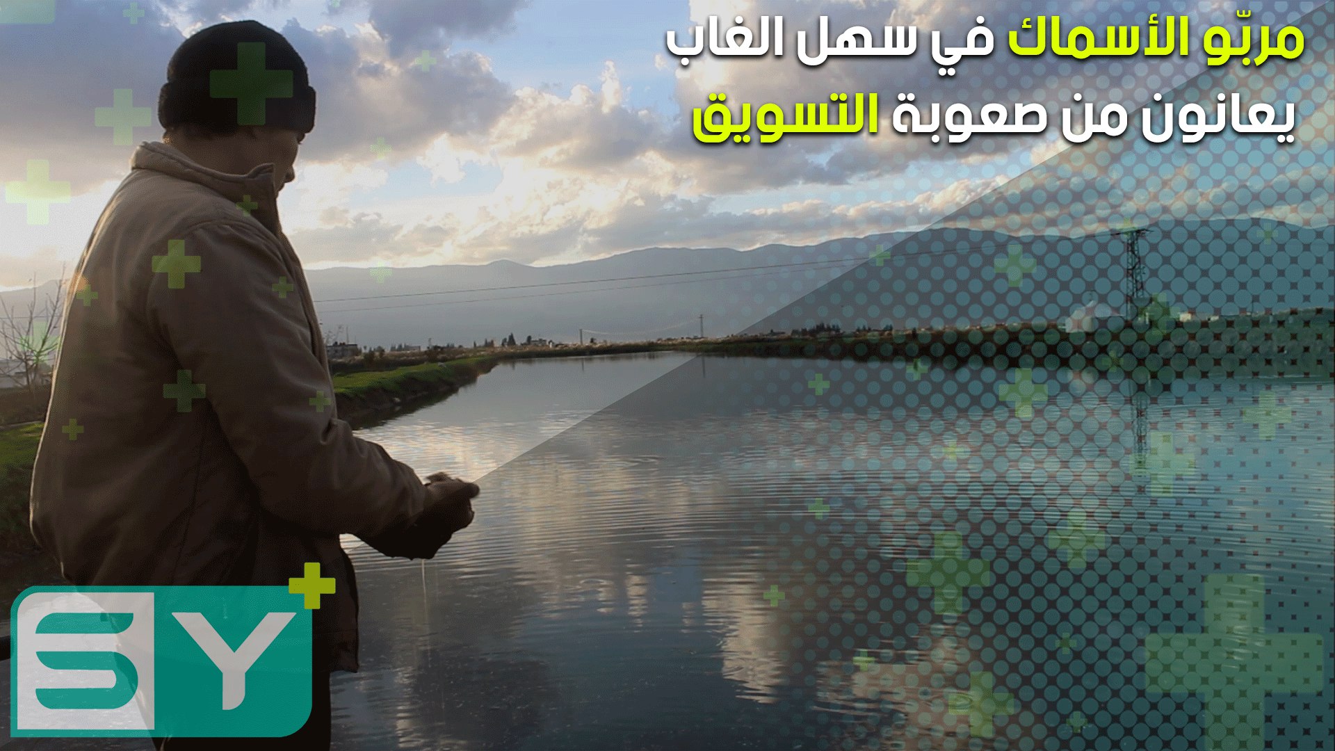 مربّو الأسماك في سهل الغاب يعانون من صعوبة التسويق