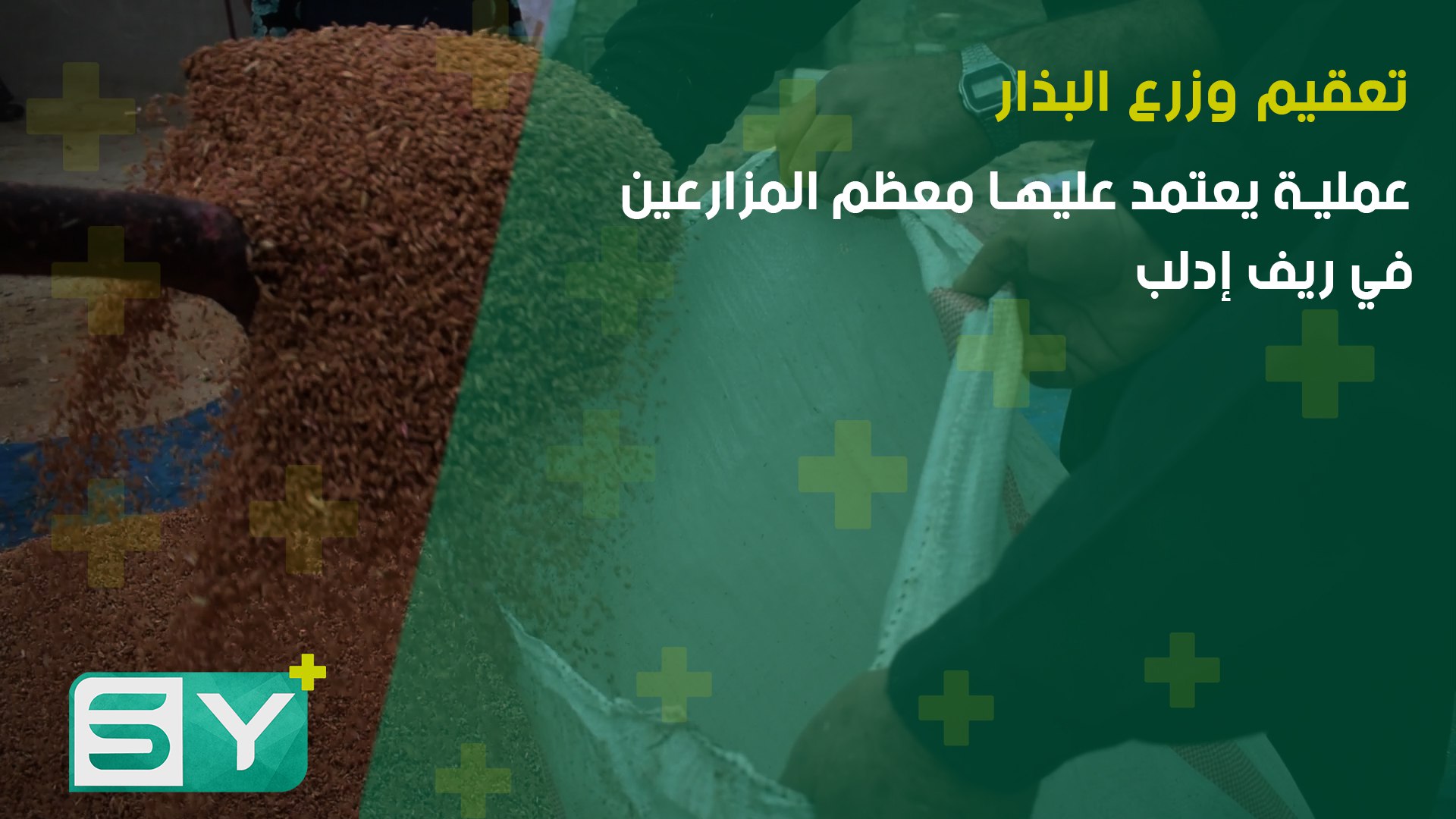 تعقيم وزرع البذار.. عملية يعتمد عليها معظم المزارعين في ريف إدلب