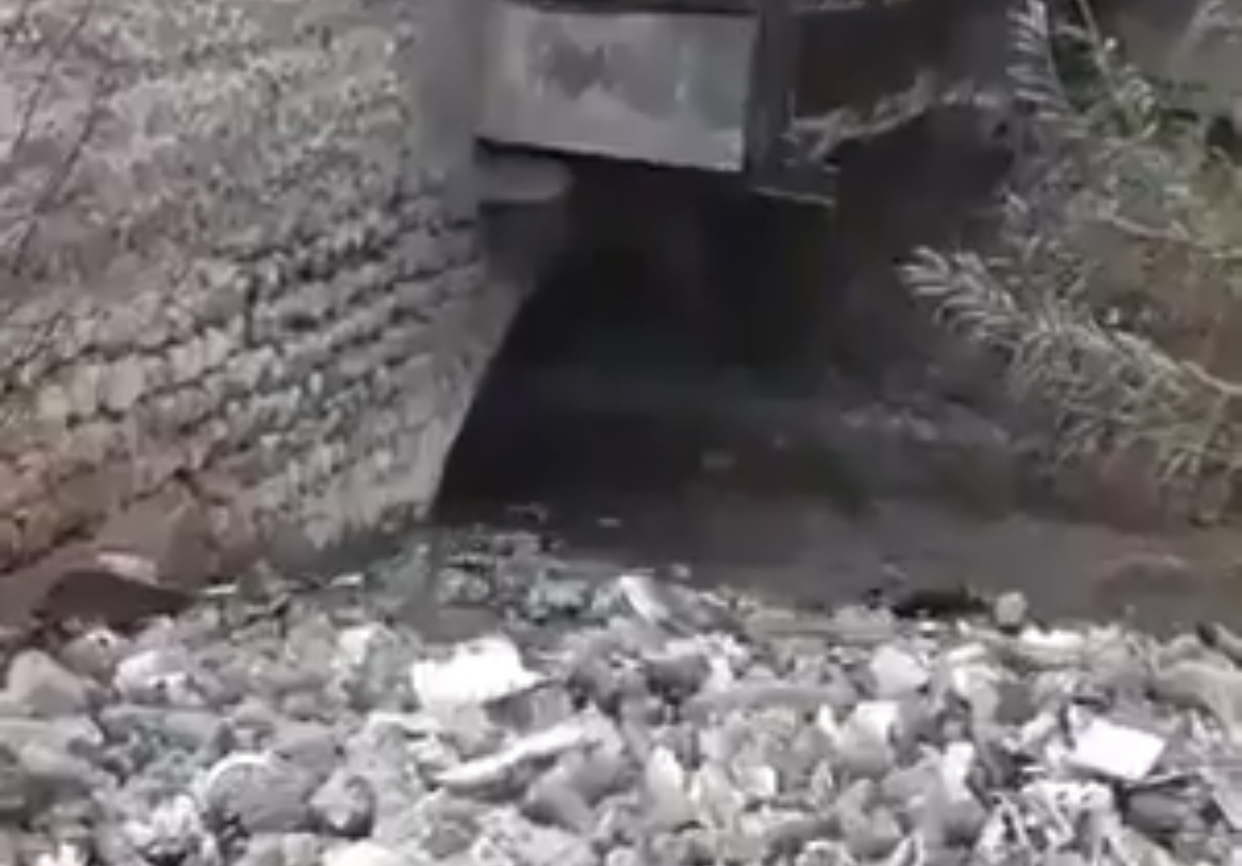 بردى يفيض بنفايات دمشق!