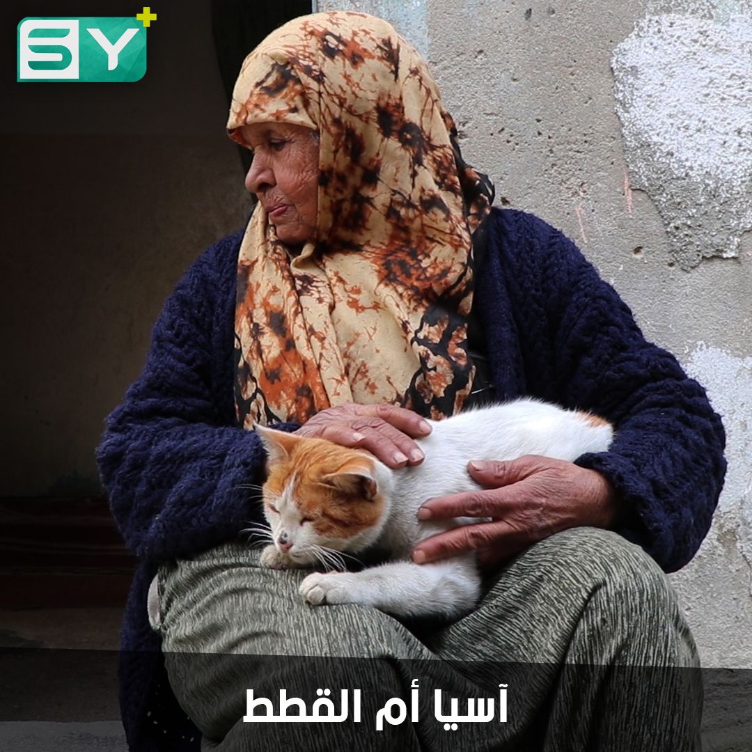 معمرة من جسر الشغور تربي القطط لتؤنس وحدتها