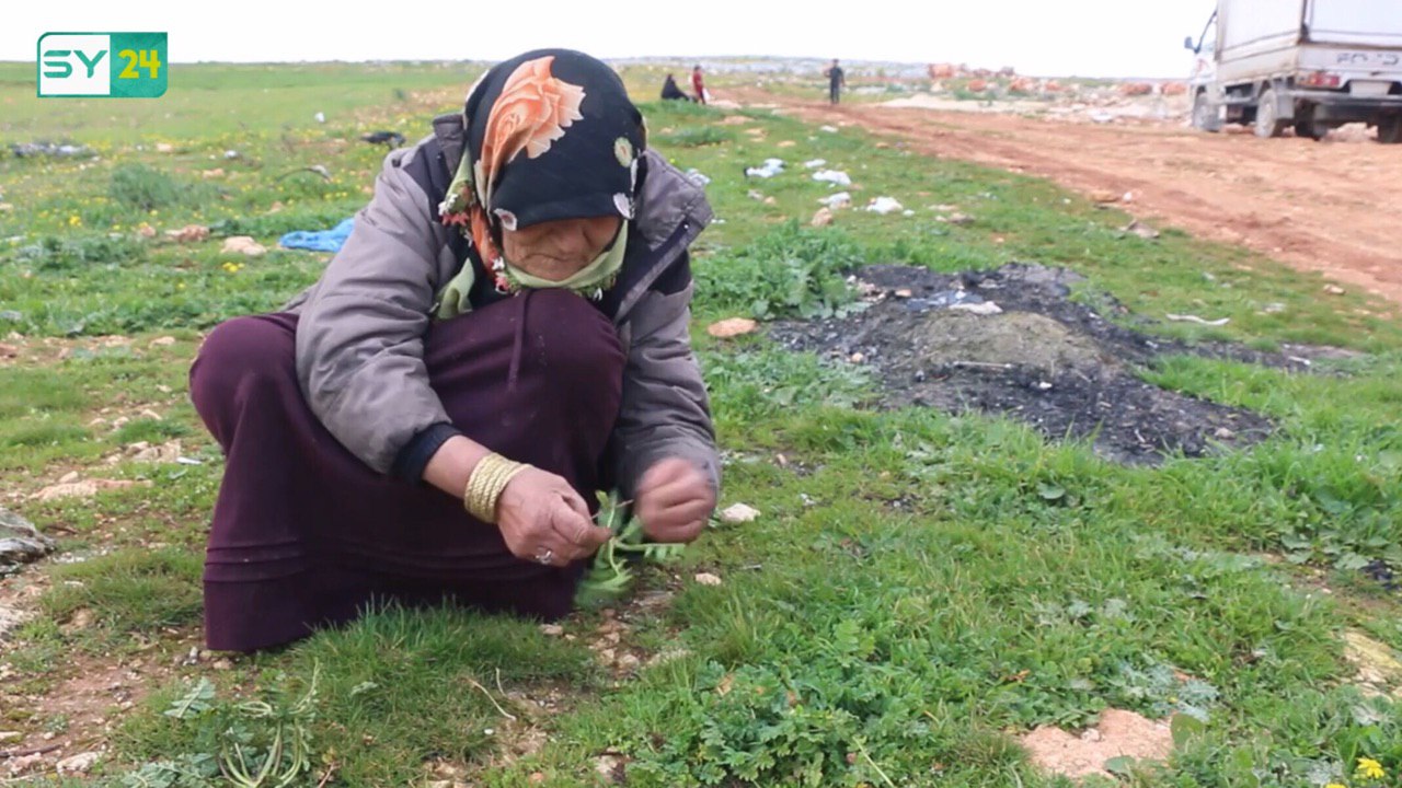 في معرة النعمان.. امرأة تسعينية ما زالت تعمل لتؤمن معيشتها