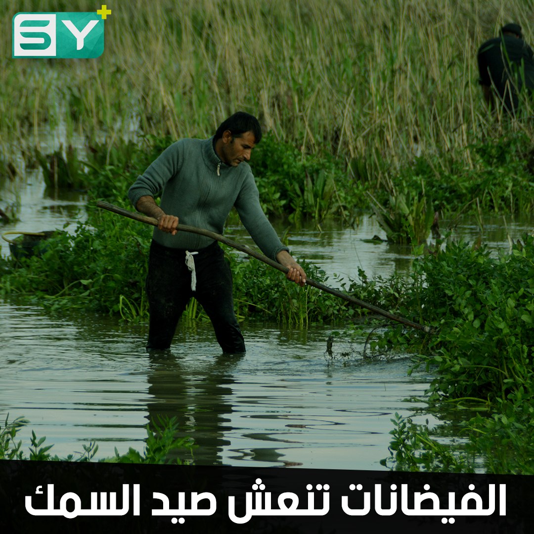 شبان من المالكية بريف الحسكة يستفيدون من الفيضانات لممارسة هوايتهم بصيد السمك