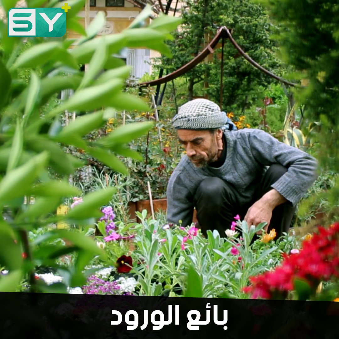 مئات الأنواع من الورود والأشجار المثمرة تجتمع في مشتل أبو أيهم بريف إدلب الجنوبي