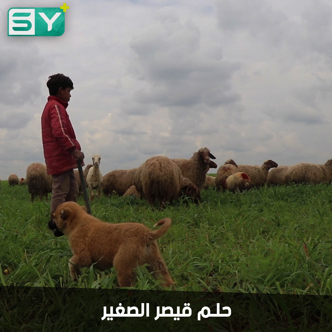 قيصر العبد طفل تحمل أعباء النزوح منذ صغره.. يحلم بالعودة لدياره ومدرسته