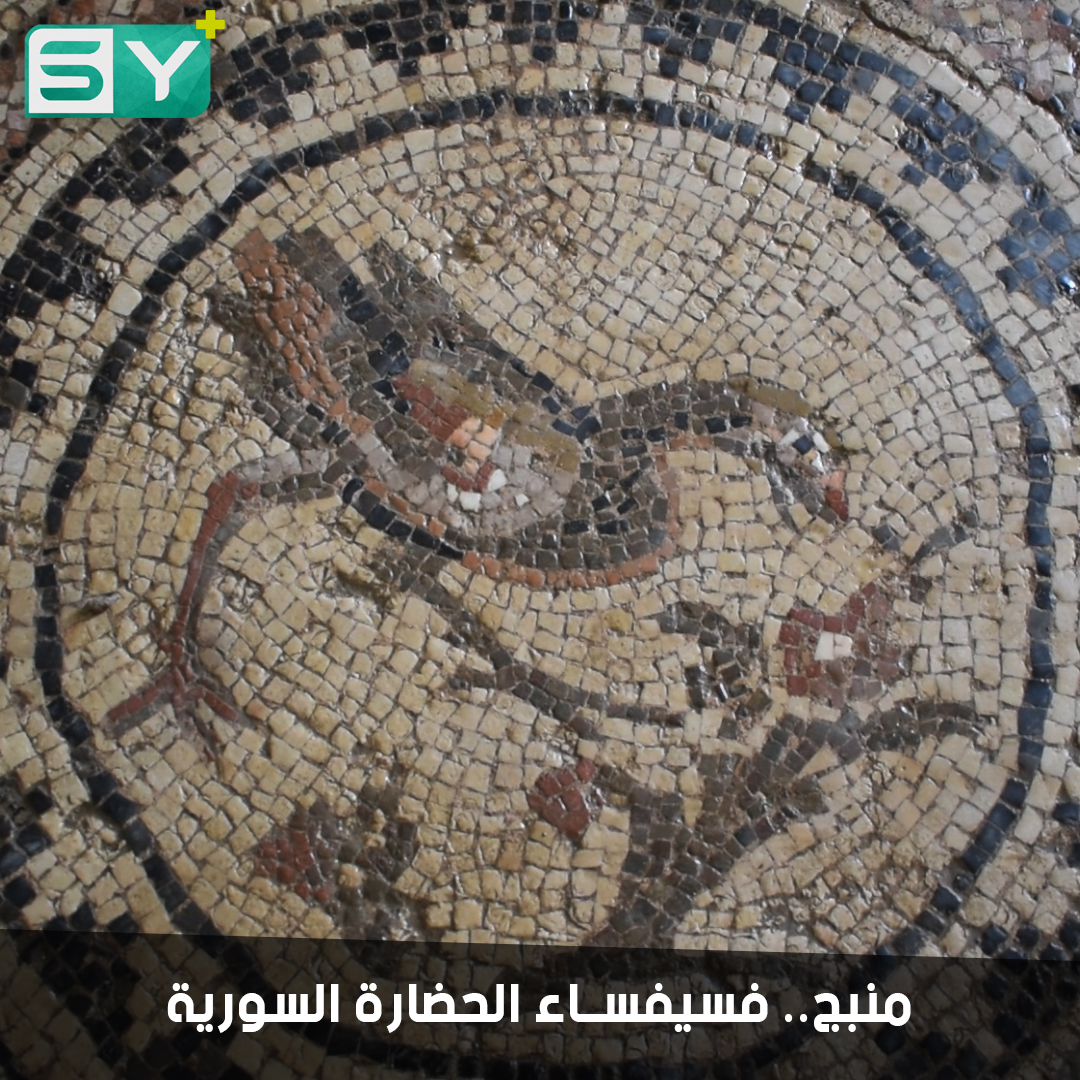 مدينة منبج.. فاتيكان الشرق.. آلاف الحضارات تعاقبت على المدينة الأثرية.. ماذا تعرف عنها؟