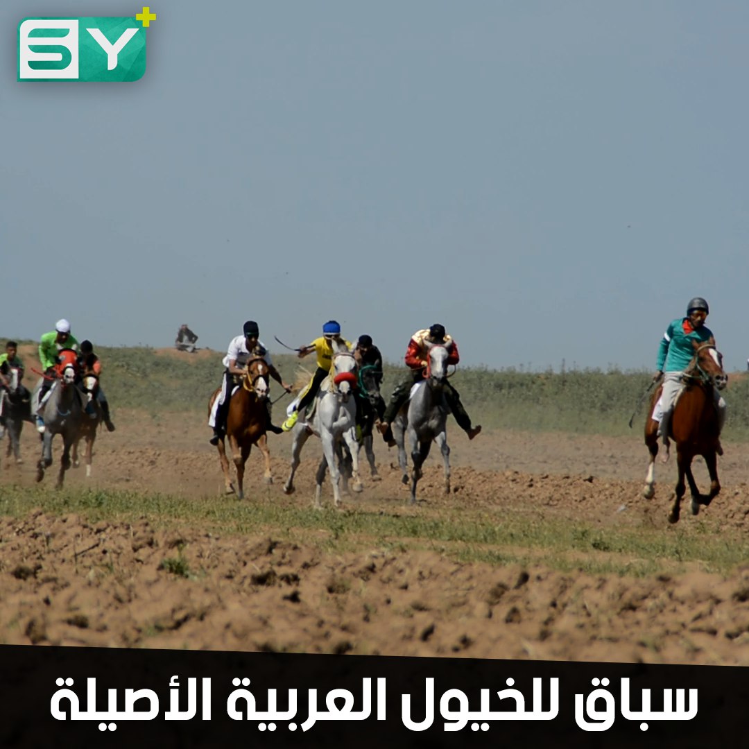 هيئة الشباب والرياضة تنظم المهرجان السادس لسباق الخيول العربية الأصيلة في ريف الحسكة