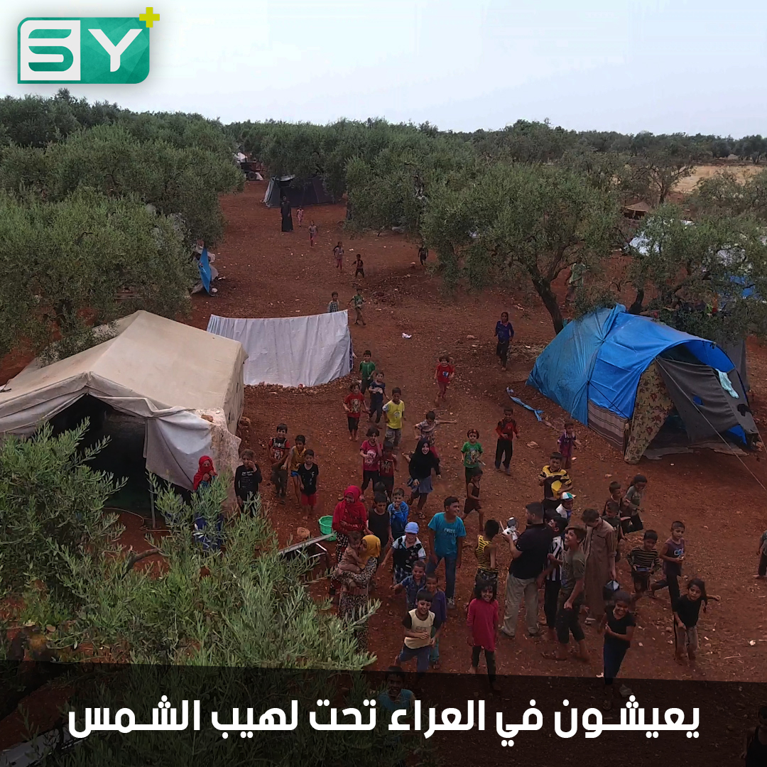 بصوته المُتعب وحسرته على بلدته.. مصطفى شيبان مسن يشتكي مآسي النزوح تحت الأشجار