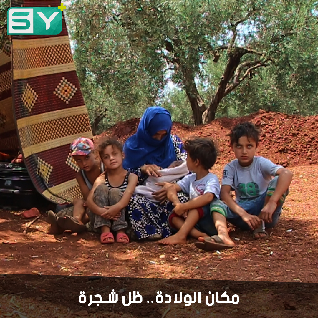 طفل وُلد وسط ظروف نزوح قاسية.. يعيش ساعاته الأولى تحت شجرة زيتون