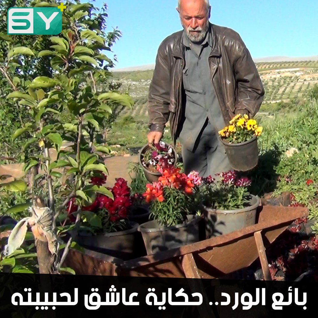 أحب الورد وأعشق الورد.. أبو محمد رجل ستيني يهوى جمع الورود وبيعها منذ 20 عاماً