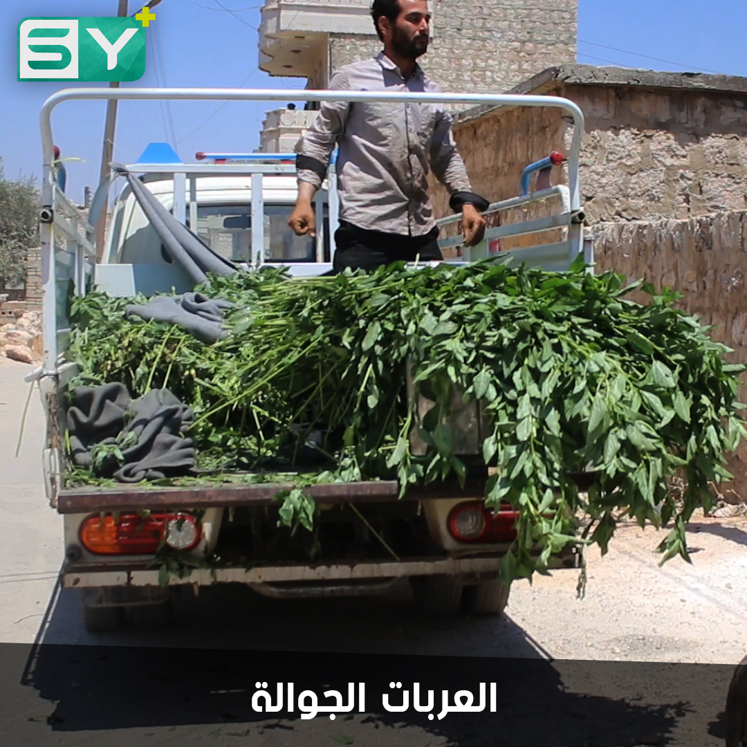 سيارات البيع المتجولة.. ظاهرة تزداد مع تدفق النازحين.. تخفف عنهم مشقة الوصول إلى الأسواق