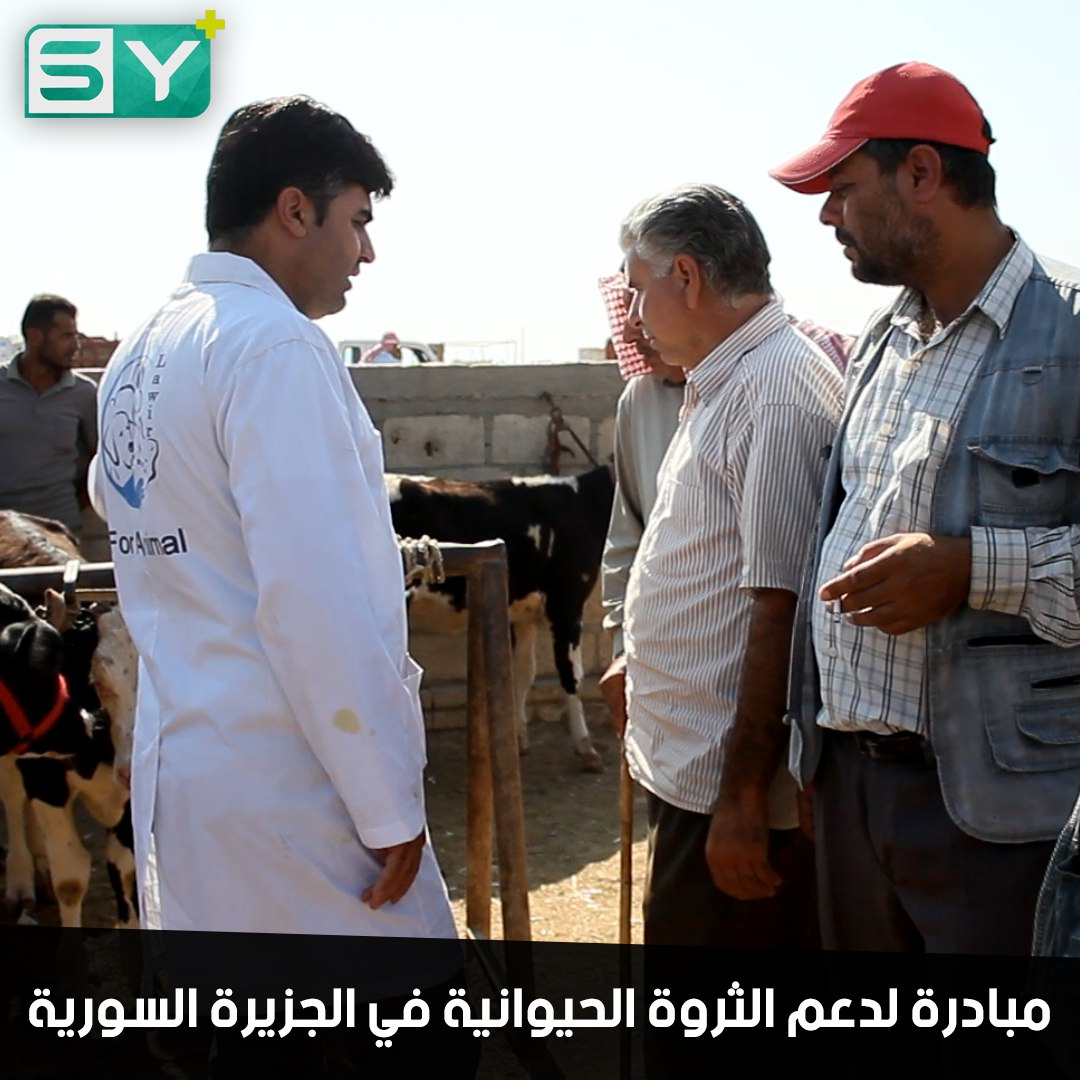 أطباء بيطريون يؤسسون منظمة لدعم وتطوير الثروة الحيوانية في الجزيرة السورية