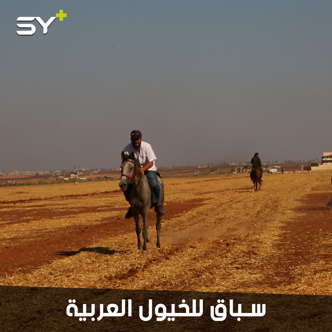 إقامة بطولة سباق للخيول العربية بمشاركات شبابية في ريف إدلب