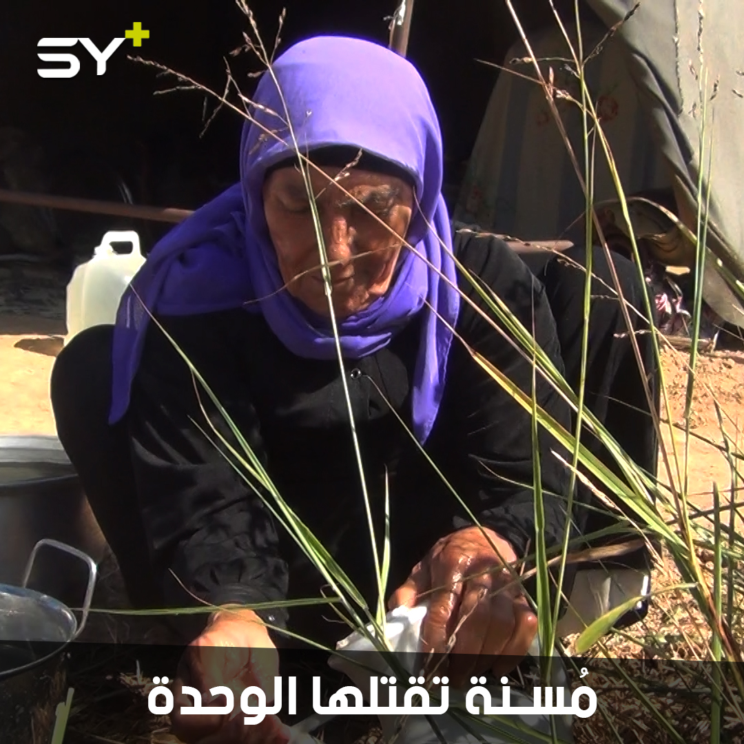 امرأة سبعينية نازحة تعيش بمفردها في خيمة تحت الأشجار في ريف إدلب