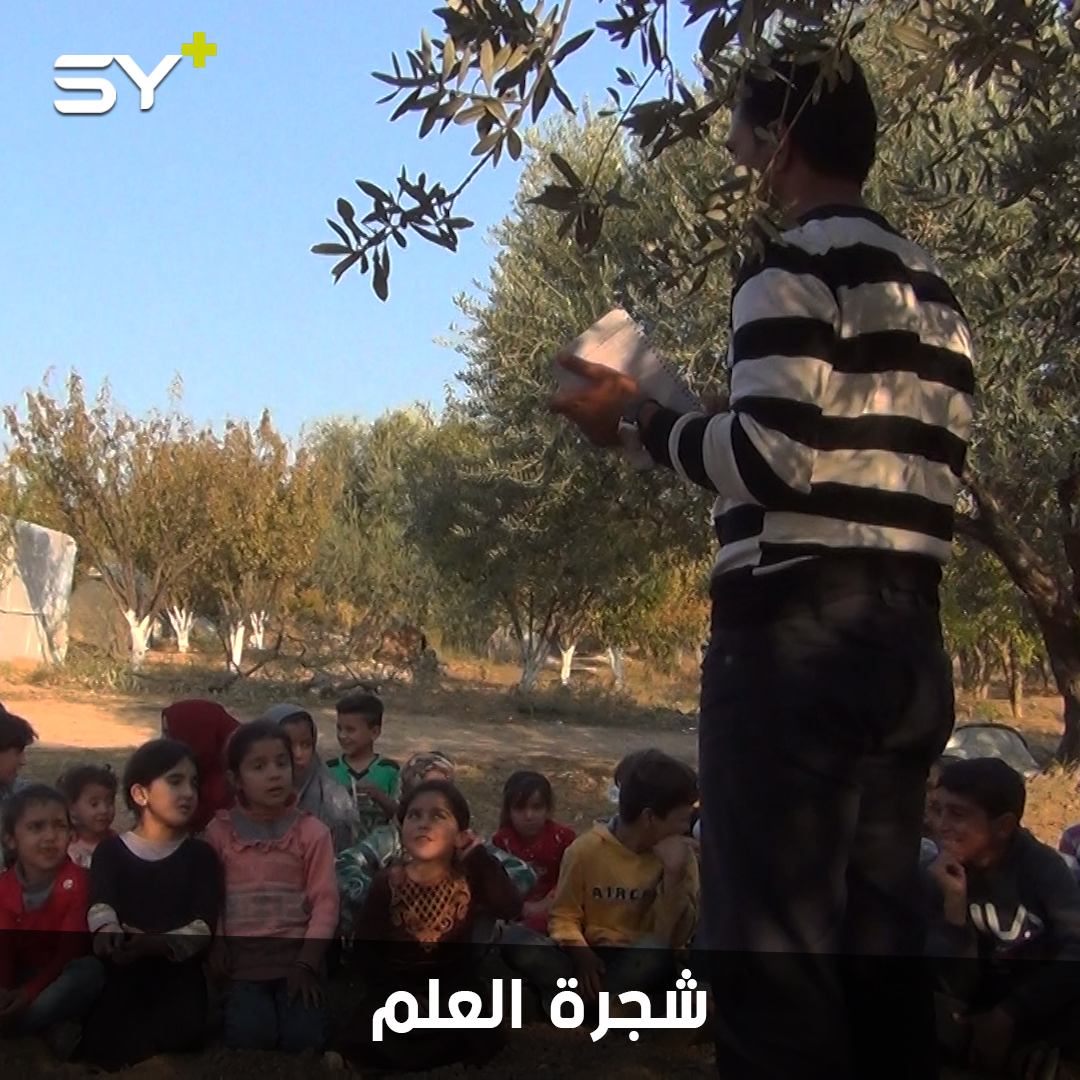 معلم متطوع يجمع أكثر من 50 طالب وطالبة تحت شجرة يعلمهم القراءة والكتابة