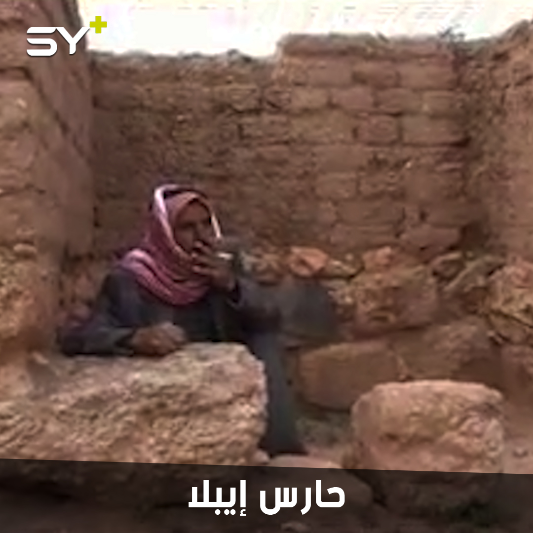 تعلم لغات السياح الأجانب دون أن يدخل للمدرسة.. تعرف على قصة محمود الشبيب في مملكة إيبلا