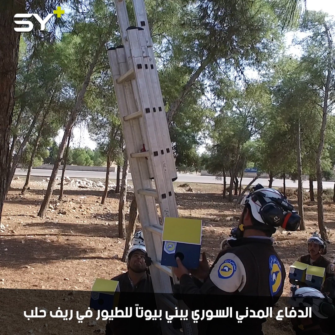 الدفاع المدني السوري يبني بيوتاً للطيور في ريف حلب الجنوبي لحمايتها من برد الشتاء