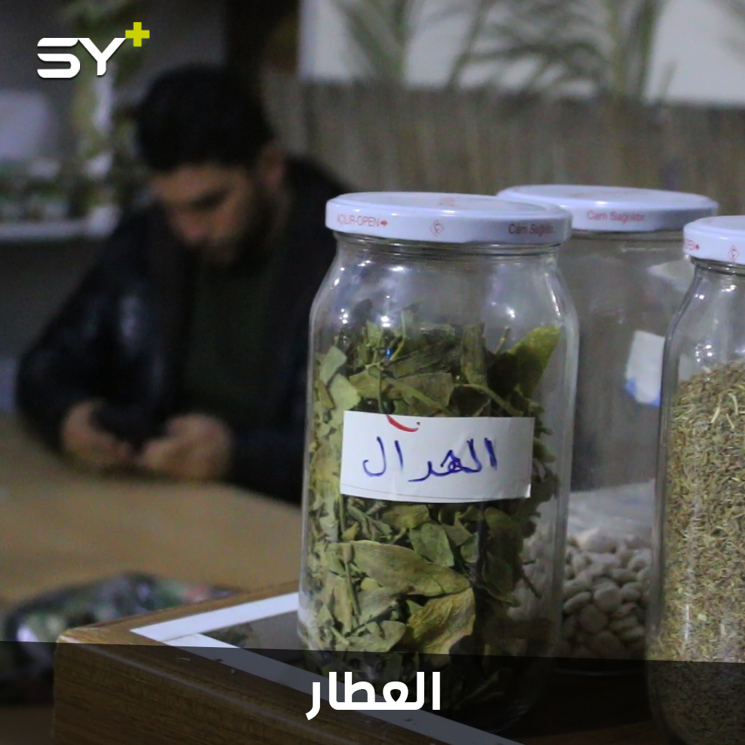 بشار الموسى.. تاجر أعشاب نقل مهنته إلى الشمال السوري بعد أن هجرته الحرب