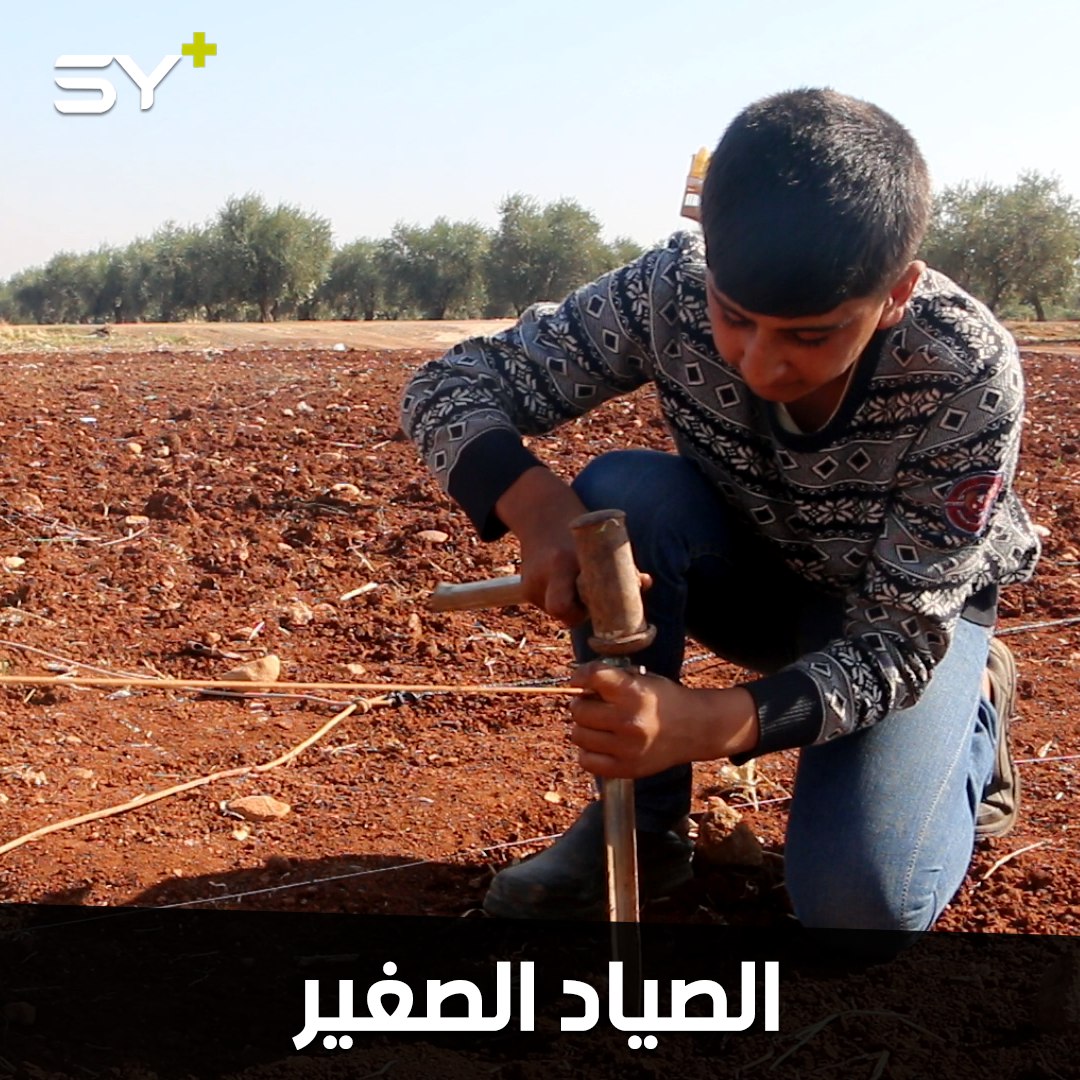 نشرت عنه SY+ تقريراً قبل استشهاده.. عبد القادر طفل يتابع هواية أبيه في صيد العصافير