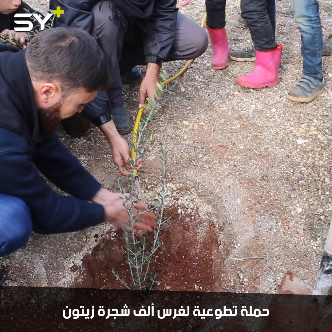 حملة تطوعية لغرس ألف شجرة زيتون بمشاركة الفعاليات المدنية تخليداً لذكرى الشهداء