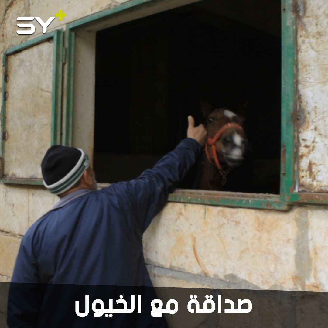 خسر 5 خيول بقصف النظام ولم يتخل عن هوايته.. علاقة وثيقة تربط نايف السيد بخيوله