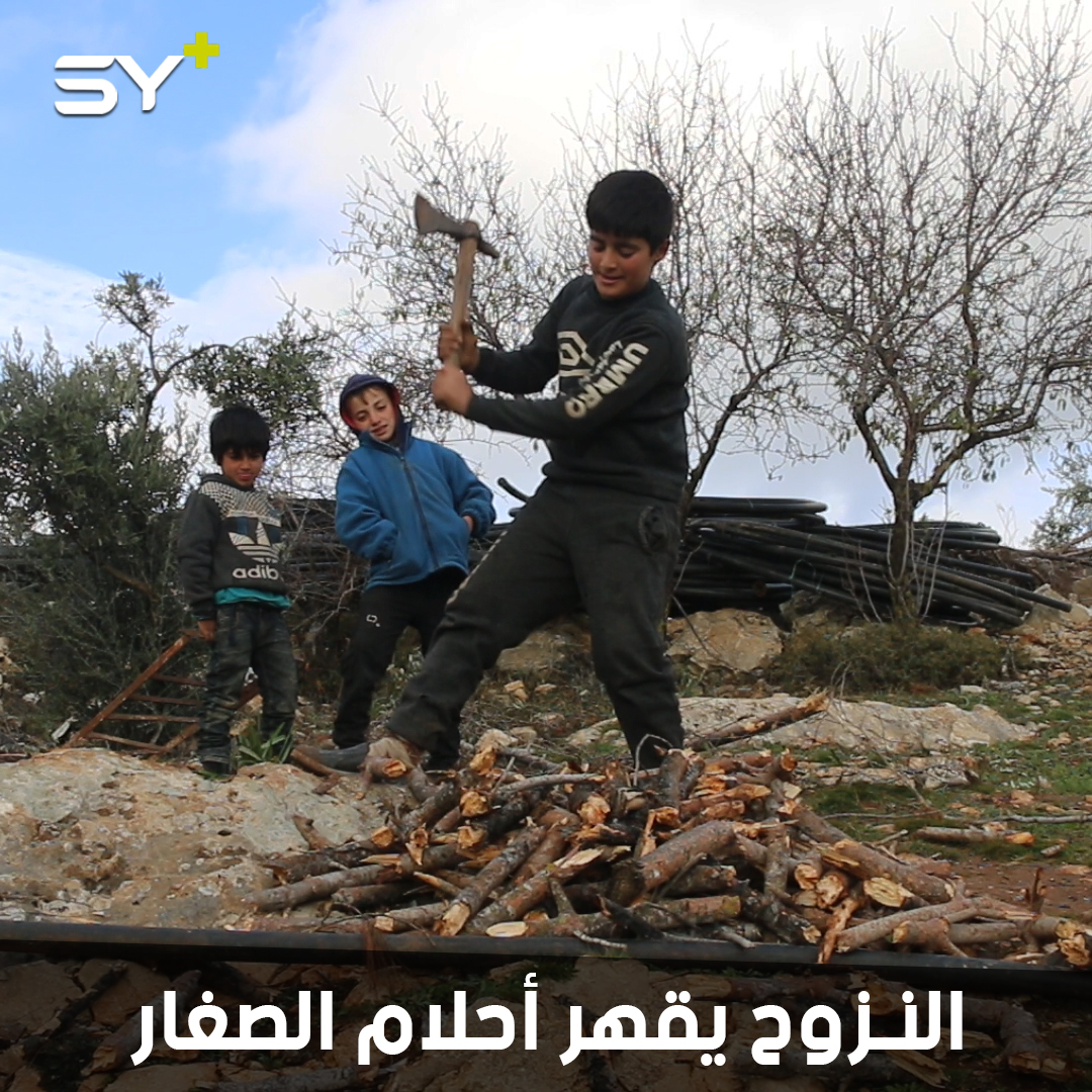 أطفال نازحون يمضون وقتهم مع أمهاتهم بتقطيع الحطب لكسر برد الشتاء