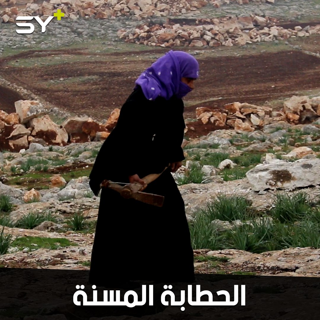 مريم أم محمد.. سبعينية تعمل في جمع الحطب لتكسر برد أحفادها الأيتام