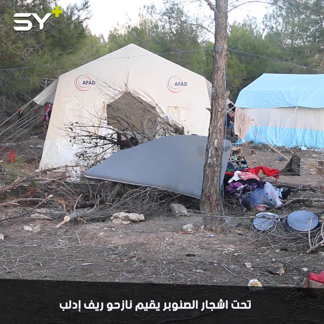 النازحون يفترشون الأرض تحت أشجار الصنوبر هرباً من المجازر اليومية في إدلب