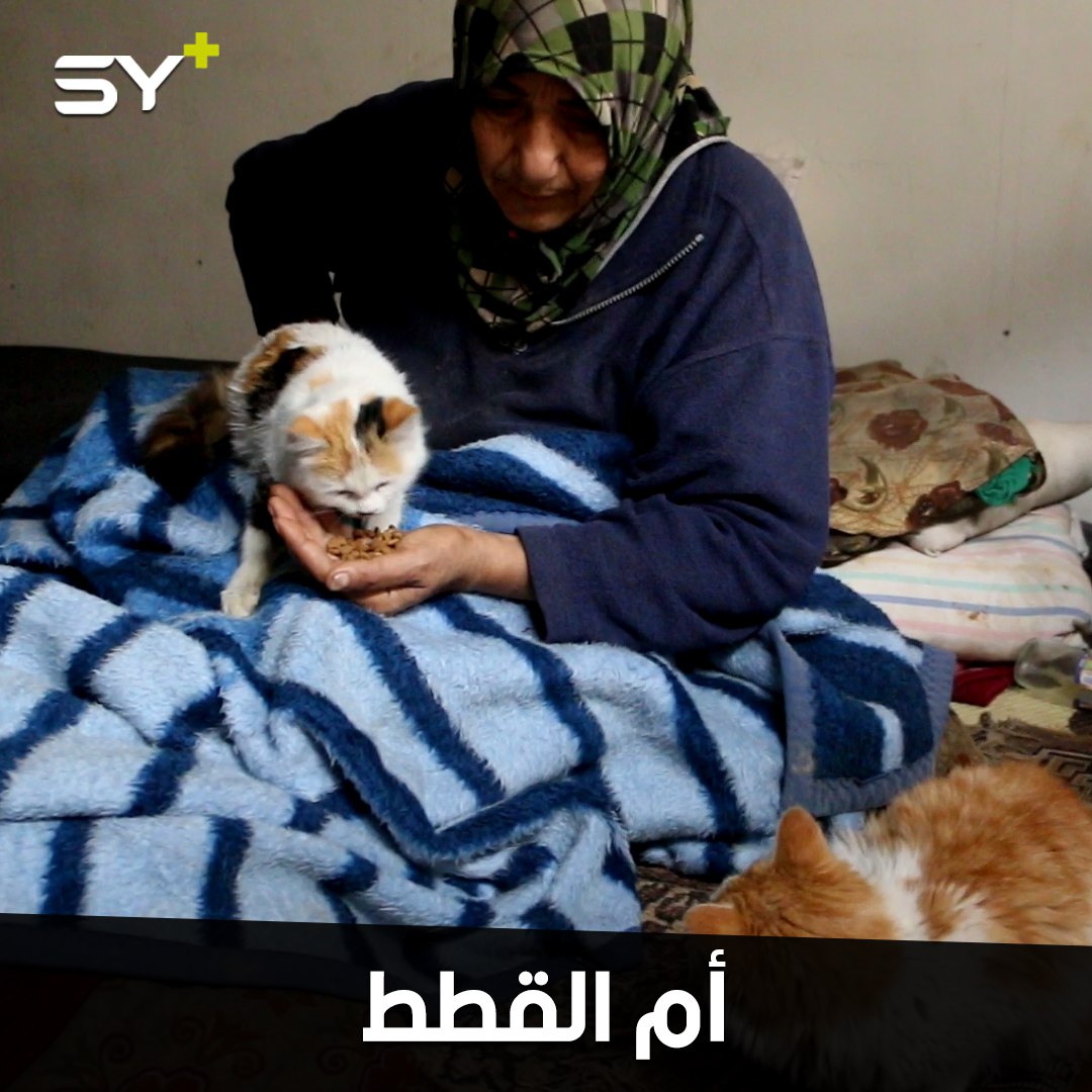 بحرقة قلب.. ابتسام السيد تبكي بعد أن فرقتها الحرب عن قططها