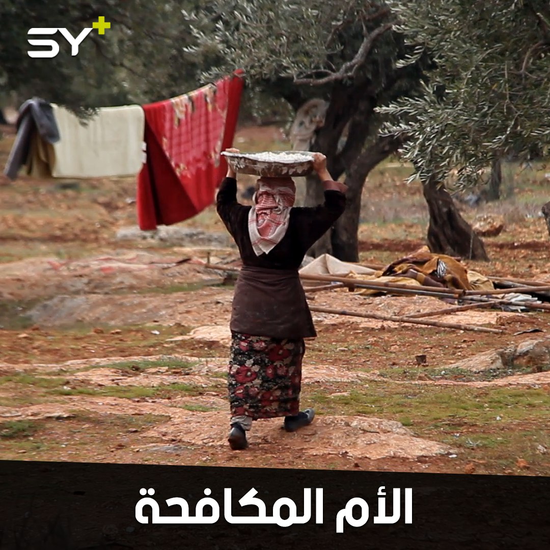 راضية الموسى امرأة هجرتها نيران الحرب.. تكافح وحيدة لإعالة أولادها وأولاد أقاربها