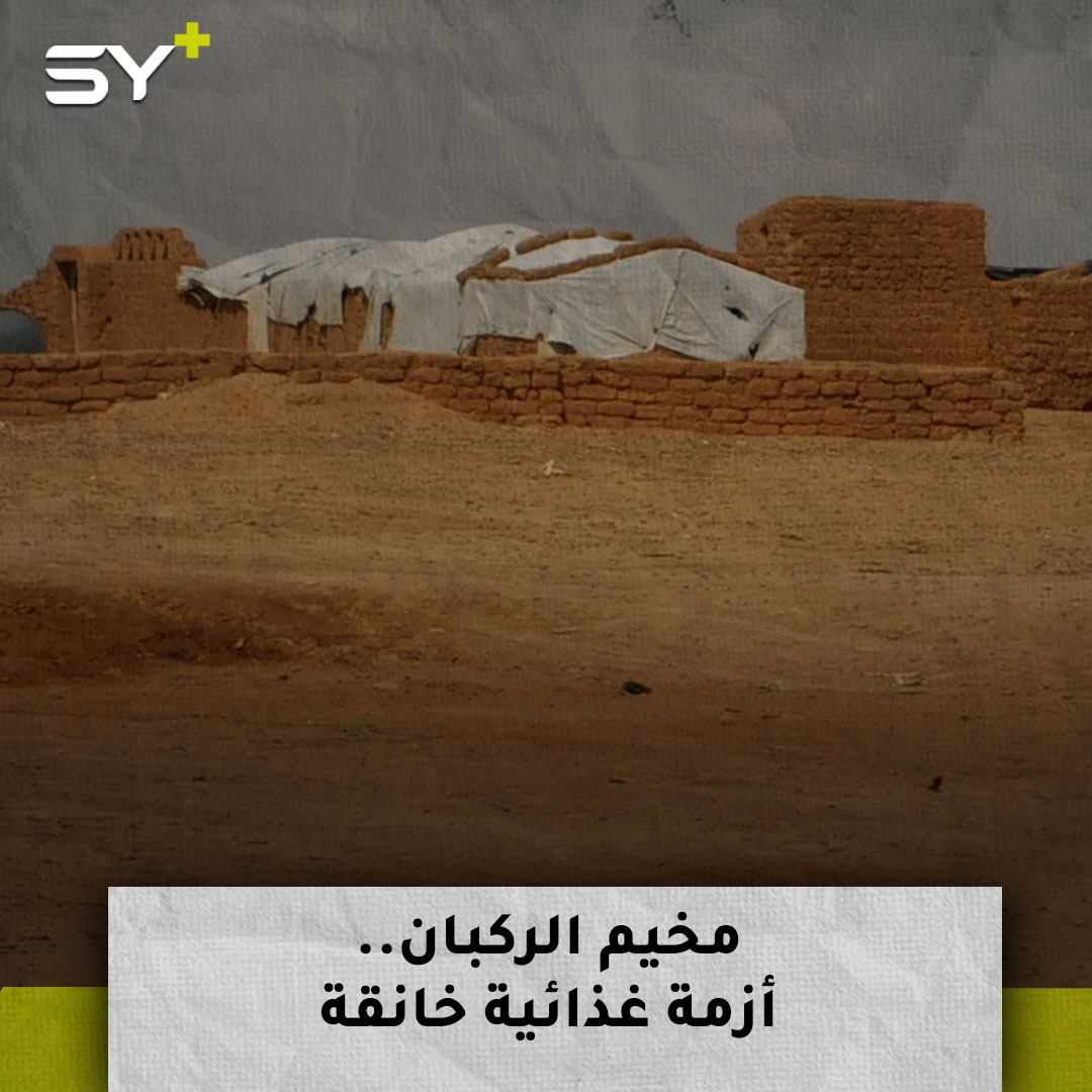 8 آلاف مُحاصر تقطّعت بهم السبل في مخيم الركبان يجمعون الأغذية من نباتات فصل الربيع