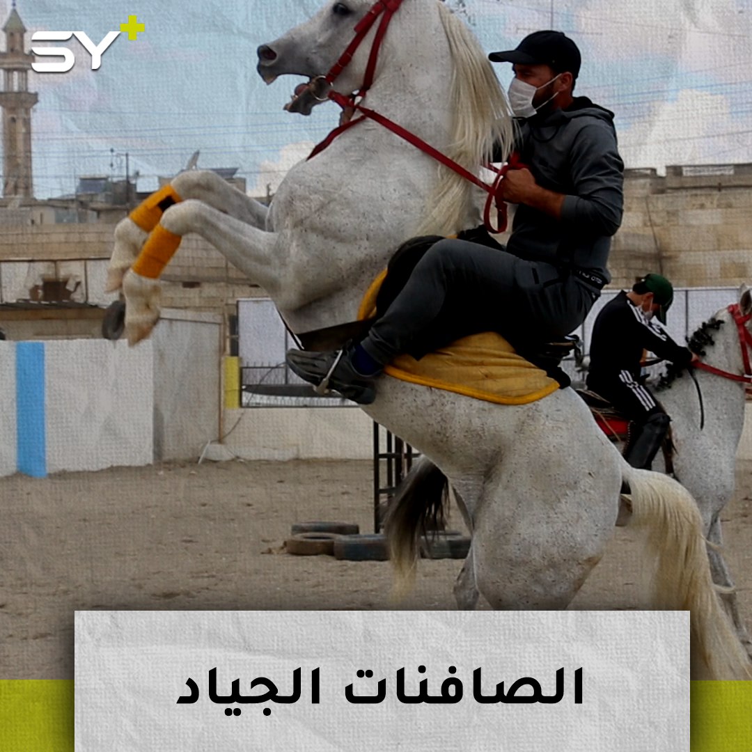 مركز للخيول العربية الأصيلة يقدم الترفيه للأطفال ويعلمهم ركوب الخيل