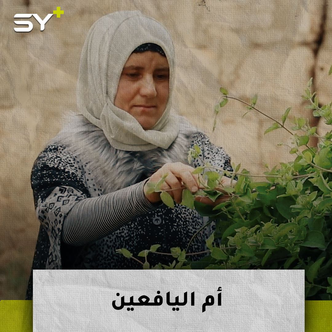 أمل معدل.. سيدة تتعدد اهتماماتها تعمل على توعية وحماية المراهقين