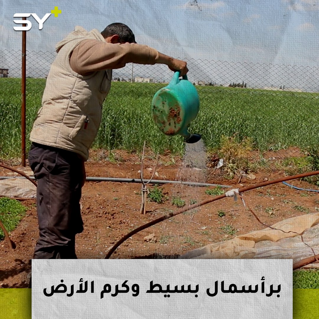 عدنان الدرويش.. مزارع يعمل في أرض بجانب خيمته بعد نزوحه من بلدته