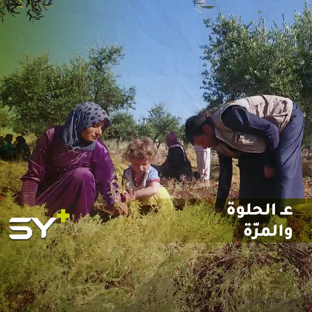 أم مصطفى وزوجها.. مزارعان يتقاسمان مهام الحياة اليومية في البيت والعمل