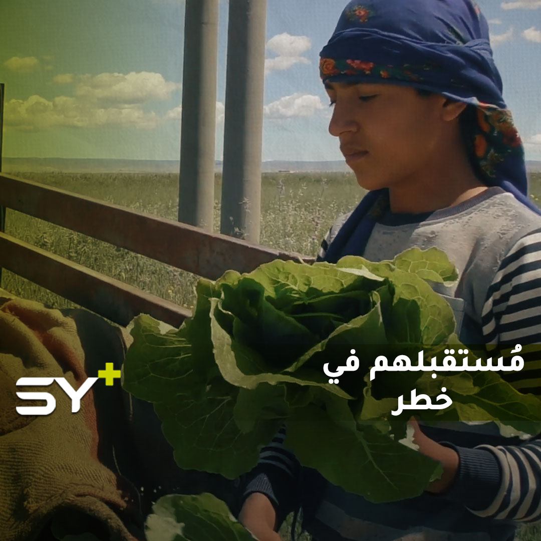 حسين المحمد.. طفل سلب منه العمل أحلامه.. يبيع الخس على قارعة الطريق