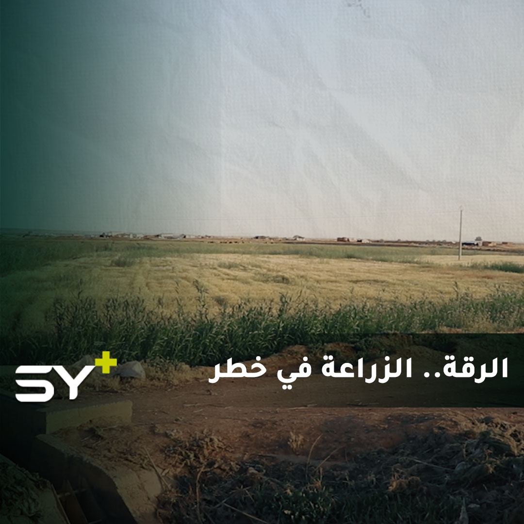 مساحات واسعة من أراضي ريف الرقة تعاني من تملح التربة وانسداد مصارف المياه.. كيف ستؤثر على المزروعات؟